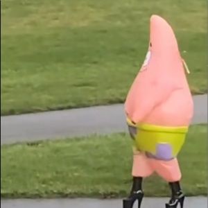 Meet your Posher, Oscar